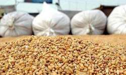 طرح 10 آلاف طن قمح اليوم بالبورصة المصرية للسلع