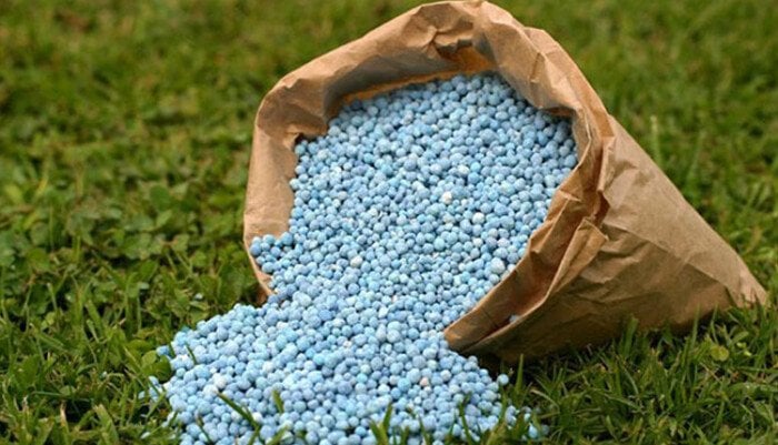 صادرات مصر من الأسمدة والبتروكيماويات تتخطى